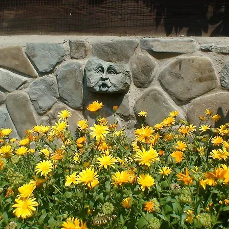 Gostynniy Dvir Raytshtoky 게스트하우스