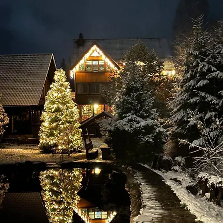 Gostynniy Dvir Raytshtoky 게스트하우스 보로크타