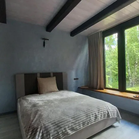 Gostynniy Dvir Raytshtoky Guest house Vorokhta