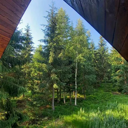 Gostynniy Dvir Raytshtoky Guest house Vorokhta