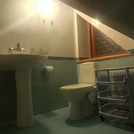 Gostynniy Dvir Raytshtoky 3* Vorokhta