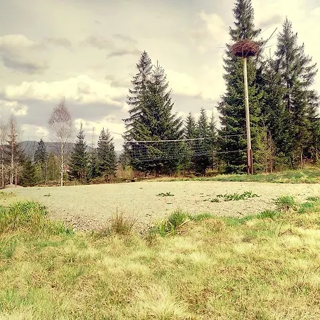 Gostynniy Dvir Raytshtoky 3* 보로크타