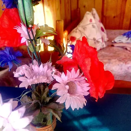 Gostynniy Dvir Raytshtoky 3*