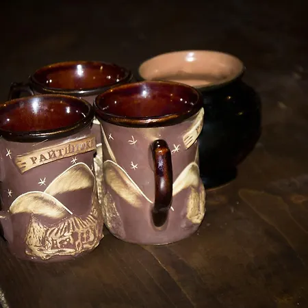 Gostynniy Dvir Raytshtoky Konukevi Vorokhta